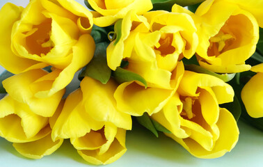 beautiful, spring, delicate bouquet of yellow tulips, lies on a horizontal surface, on a blue background. Close-up. Flowers, plants, gifts, spring, cards