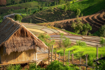 Fototapeta na wymiar Beautiful scenery of rice terraces at Pa Bong Piang in northern of Thailand that just started to plant the rice with sunlight in the morning.