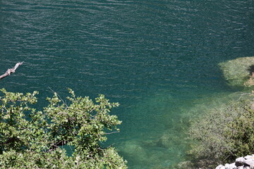 Ensemble vert !