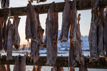 Lofoten im Winter - Norwegens Norden