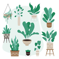 Fototapeta na wymiar Beautiful pottery plants set on white background vector illustration flat design 