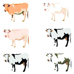 vector illustration of cows of different colors