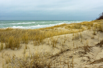 Dry grass on the sea sand. Sand dunes of the coastal strip.