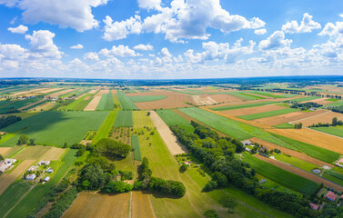 Fototapeta premium Beautiful panoramic aerial view photo from flying drone to Meadow with dandelions on a sunny day.Beautiful countryside background from above.