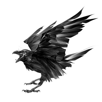 drawn bird crow on a white background with an open beak