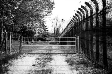 black and white metal gate with a high fence on a forest road