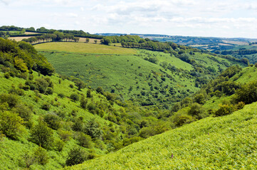 Exmoor countryside near  Exford, Exmoor, Somerset, England