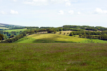 Fototapeta na wymiar Exmoor countryside near Exford, Exmoor, Somerset, England