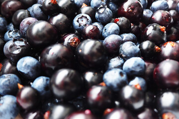 lots of small blue berries blueberries and black currants