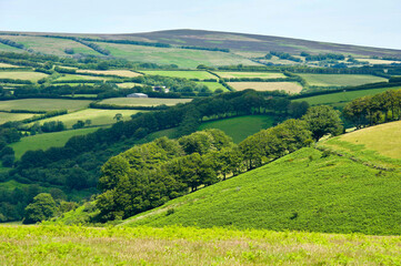 Obraz premium Exmoor countryside near Exford, Exmoor, Somerset, England