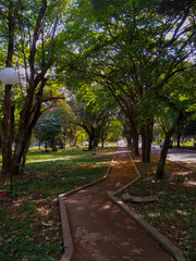 Passeio primaveril entre a natureza. 2020