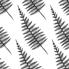 Hand-drawn seamless pattern of fern stems / leaves. Black and white image isolated on white background.