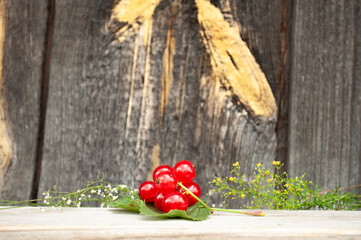 a sprig of red currants lies on a white spoon on a wooden background. minimalism concept, harvest, place for text