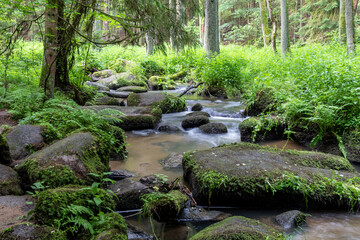 sommerlicher Leraubach bei Leuchtenberg