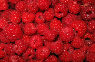Background of ripe raspberries. Top view.
