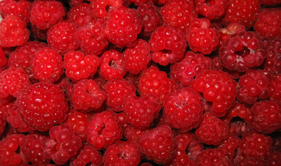 Background of ripe raspberries. Top view.