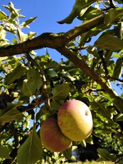 Beauty of nature Portugal