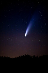 The comet Neowise C/2020 F3 flying over the horizon in CHKO Cesky Raj in Czech republic. - obrazy, fototapety, plakaty