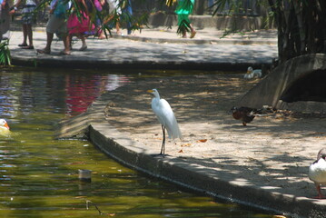 arque 13 de maio, Recife-PE