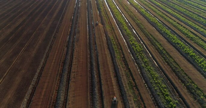 Peat production in harvesting field aerial view at sunset