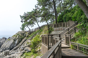 The wooden walk way over the rock cilff in Haeundae Dongbaekseom Island near Haehundae beach.