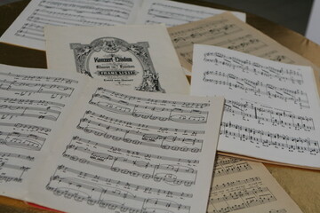 Sheets with notes are spread out on the table