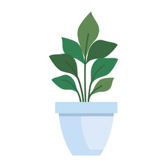 house pot plant on white background vector illustration design