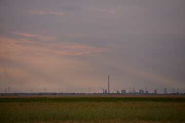 oil refinery seen on the horizon on the wheat field at sunset