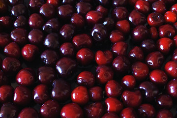 Close-up of wet ripe sweet cherry on a black background