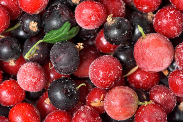 frozen fruit cherry, raspberry, blackcurrant in bags, close-up view from above