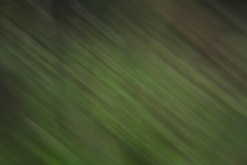 Abstract blurred texture leaf background.