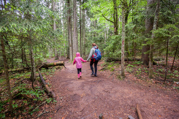 Fototapeta premium Family hiking in beautiful summer forest, Healthy Active Lifestyle , Mother And Daughter Walking In Nature
