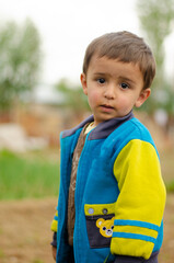 a little boy in the garden
