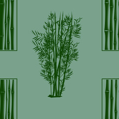 bamboo background vector