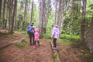 Obraz premium Family Adventure In Beautiful Summer Forest, Healthy Active Lifestyle