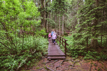 Family Adventure In Beautiful Summer Forest, Healthy Active Lifestyle