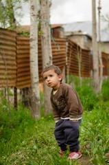 a little boy in the garden
