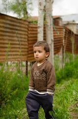 a little boy in the garden
