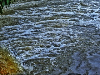 water flowing in the forest