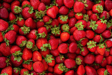 strawberries photography, fruits, top view