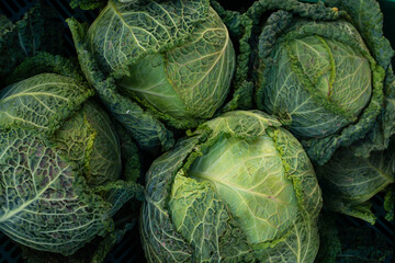 Obraz premium Fresh green cabbages photography, top view, vegetable