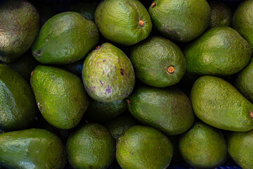 Beautiful photography avocados green, top view, group