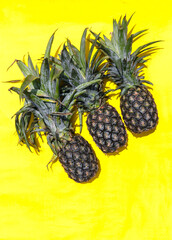 Pineapple Fruit Isolated on Yellow Background in Vertical Orientation