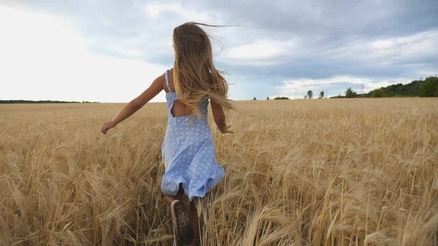 Follow to cute happy child in dress running through wheat field, turning to camera and smiling. Beautiful girl with long blonde hair jogging over the meadow of barley at overcast day. Slow motion