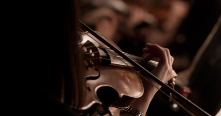 Stock video footage Symphony Orchestra violin