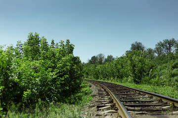 Natural landscape background. Railroad through green forest in sunny day. Copy space concept.