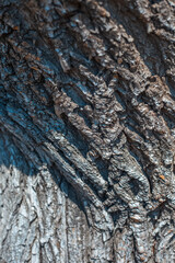 Natural textured abstract background of old wooden surface with different lines.