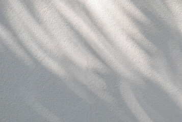 Obraz premium Leaf shadow on wall. Nature tropical leaves tree branch and plant shade with sunlight from sunshine dappled on white wall