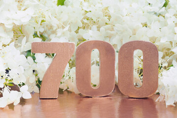 voluminous rose gold number 