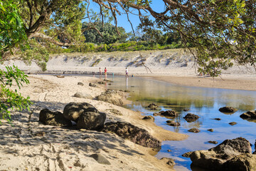 A stream running down to the ocean past trees and sand dunes. Whitianga Beach on the Coromandel Peninsula, New Zealand